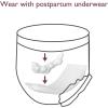 imageMomcozy Postpartum Disposable Underwear 12 PCS No Leak NewThin Builtin Pad SelfAbsorbent FreeMove Period Underpants for Women Mothers Moms Labor Delivery Care White