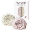 Beige Light Blush